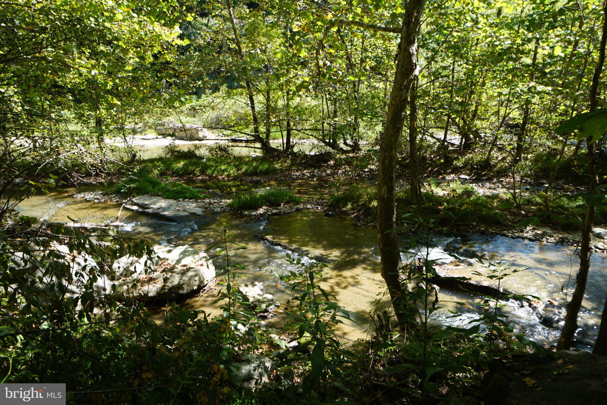 789 Upper South Branch Road Franklin, WV 26807 - Photo 47 of 50 a view of lake