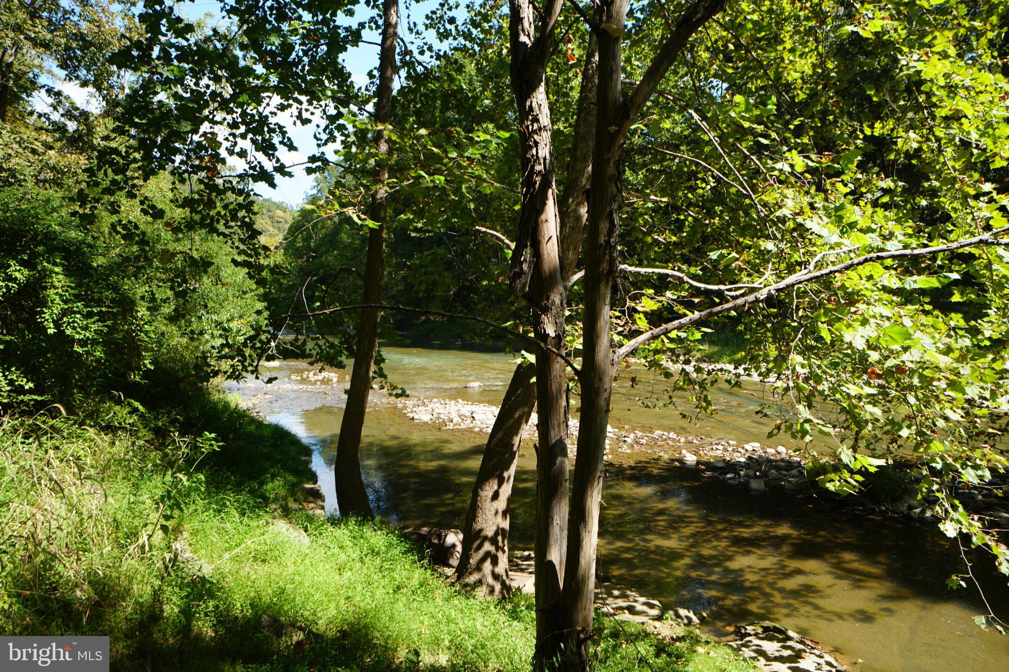 789 Upper South Branch Road Franklin, WV 26807 - Photo 48 of 50 a view of lake from a tree