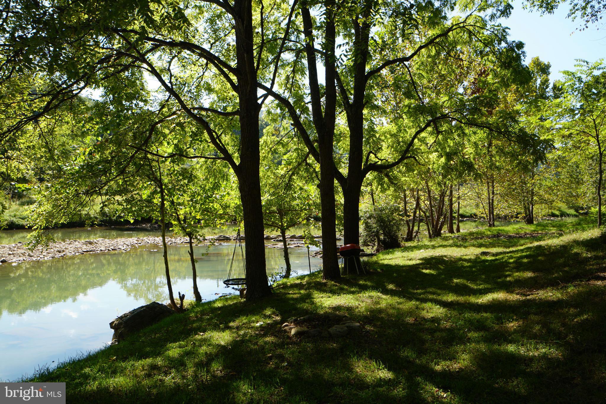 789 Upper South Branch Road Franklin, WV 26807 - Photo 6 of 50 a view of a lake with a tree