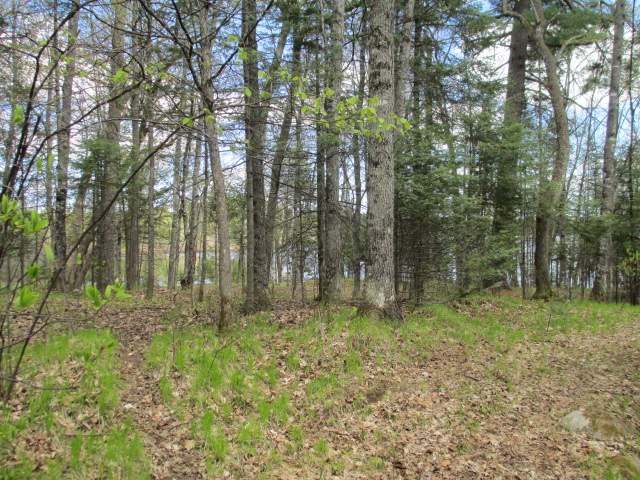 On West Great Northern Trails Road Mercer, WI 54547 - Photo 5 of 9 Gallery Image 5