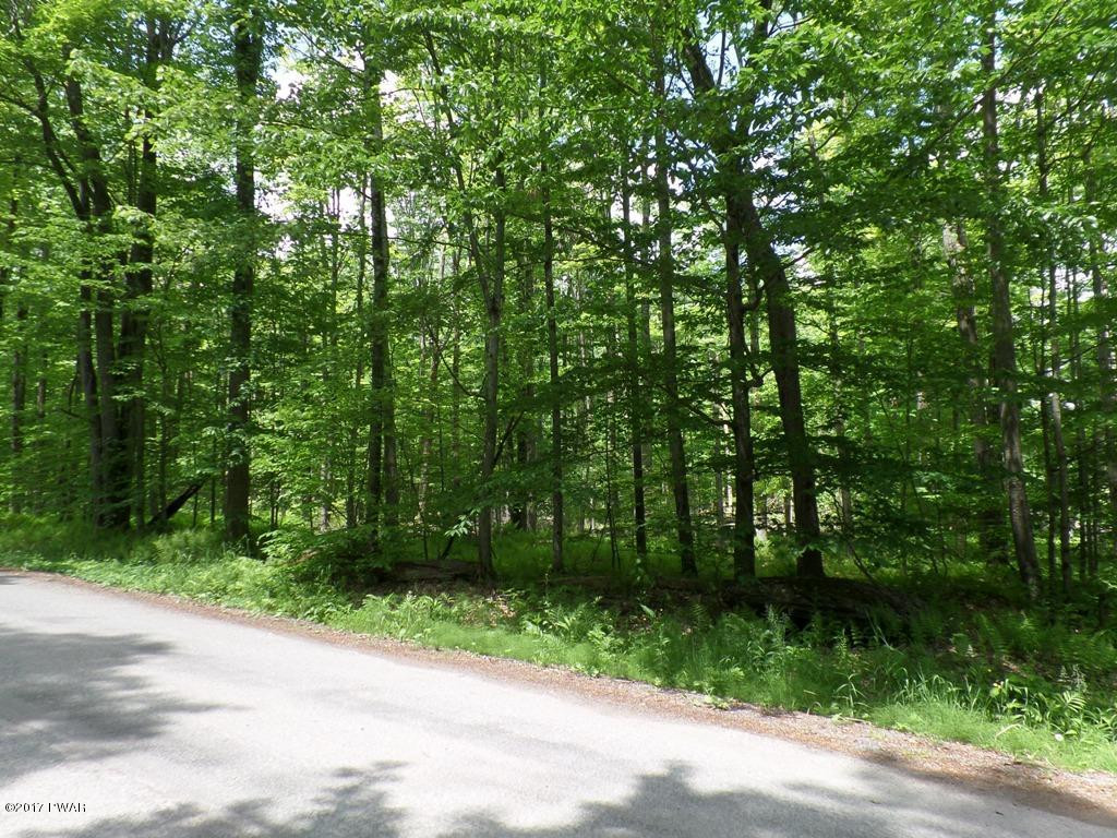 Lot 1 Avoy & Wallace Road Lake Ariel, PA 18436 - Photo 2 of 6