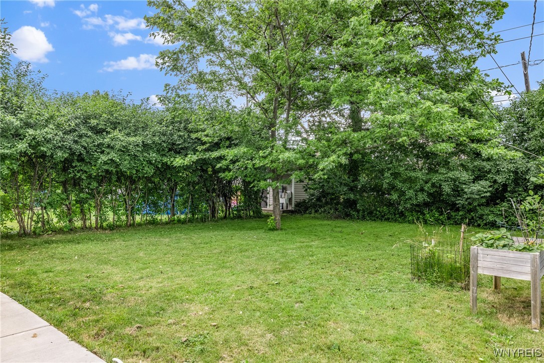 87 Ermann Drive Buffalo, NY 14217 - Photo 5 of 36