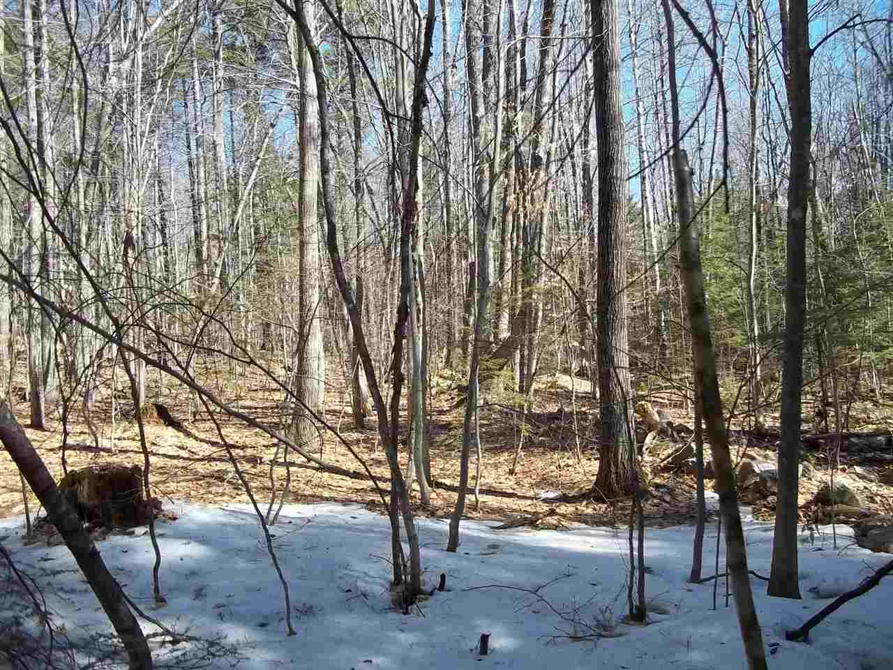 12 Dorfli Road, Unit D125 Madison, NH 03818 - Photo 2 of 6 Gallery Image 2