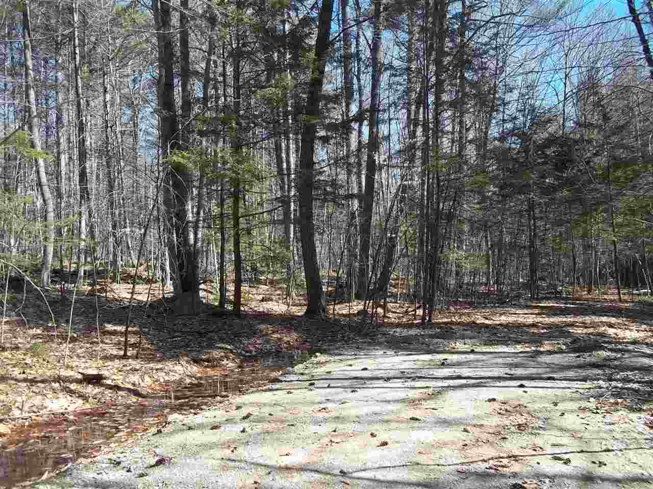 12 Dorfli Road, Unit D125 Madison, NH 03818 - Photo 4 of 6 Gallery Image 4
