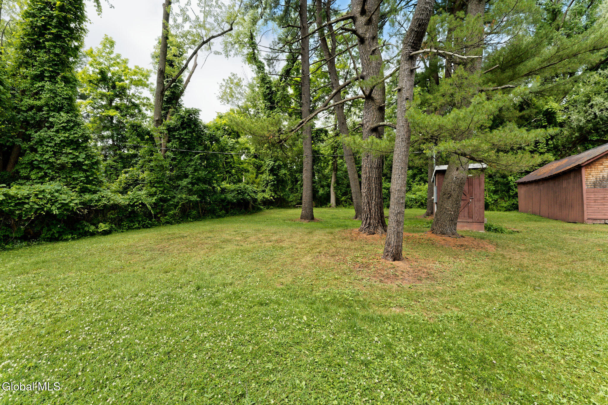 1412 River Road Bethlehem, NY 12158 - Photo 35 of 40 Yard 4