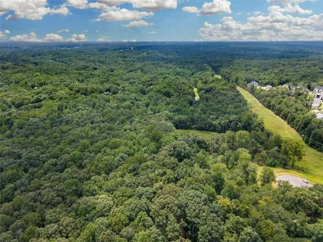 a view of a lush green forest with lots of trees