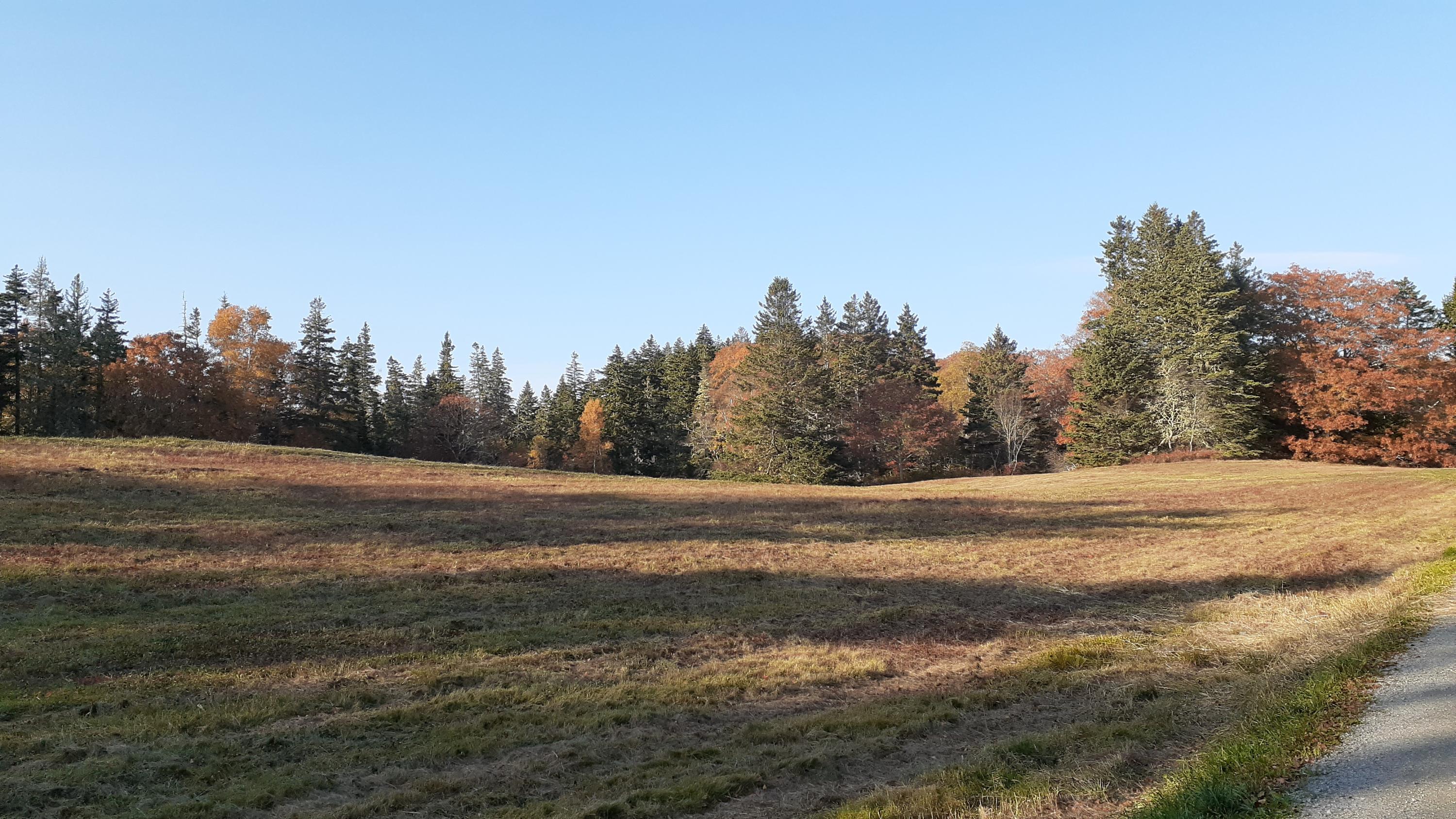 278 Davis Point Road Cushing, ME 04563 - Photo 24 of 27 20201025_153333