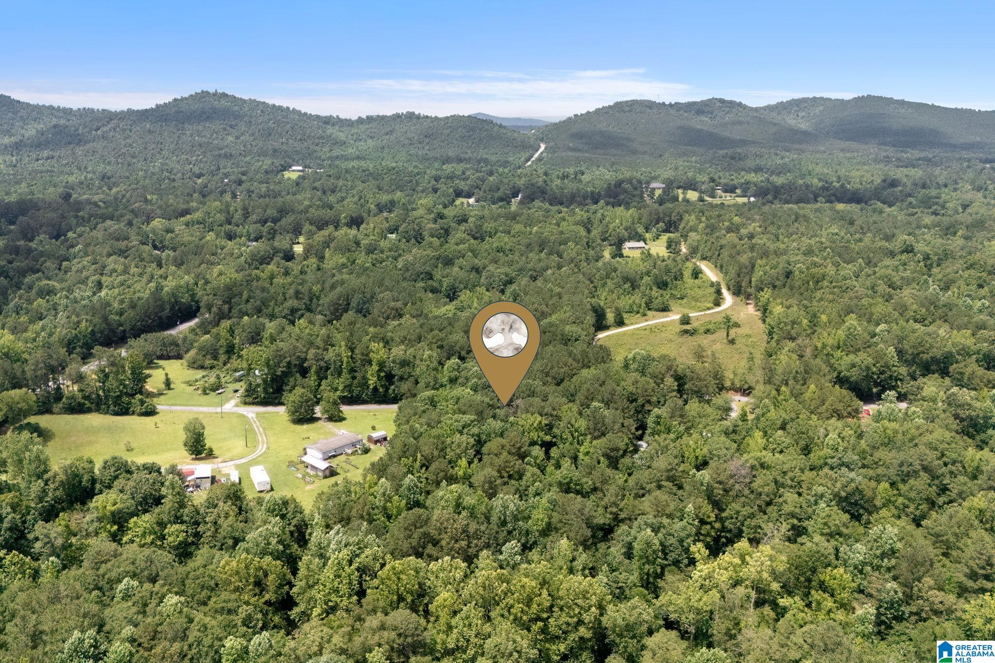 0 Waldrop Road, Unit 1 Ashville, AL 35953 - Photo 10 of 13