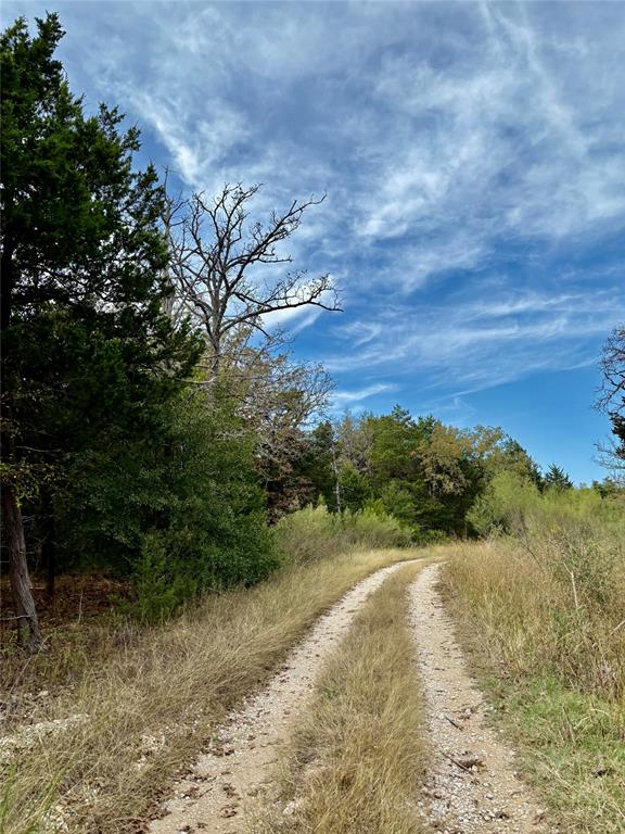 184 Fcr 941 Teague, TX 75860 - Photo 11 of 26 a view of a yard with a tree