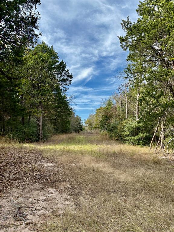 184 Fcr 941 Teague, TX 75860 - Photo 12 of 26 a view of a yard with a tree