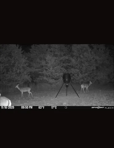 a view of wooden floor in a room