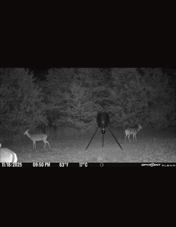 184 Fcr 941 Teague, TX 75860 - Photo 14 of 26 a view of wooden floor in a room
