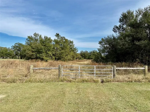 a view of a green yard with wooden fence
