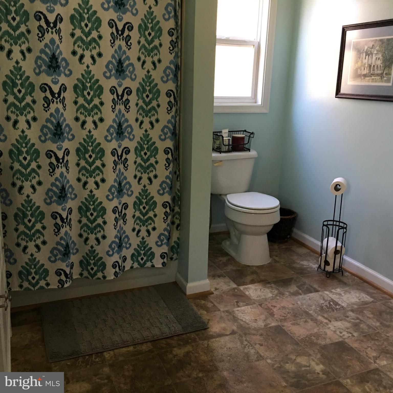 12433 Ridge Road King George, VA 22485 - Photo 19 of 27 Bath (Master)