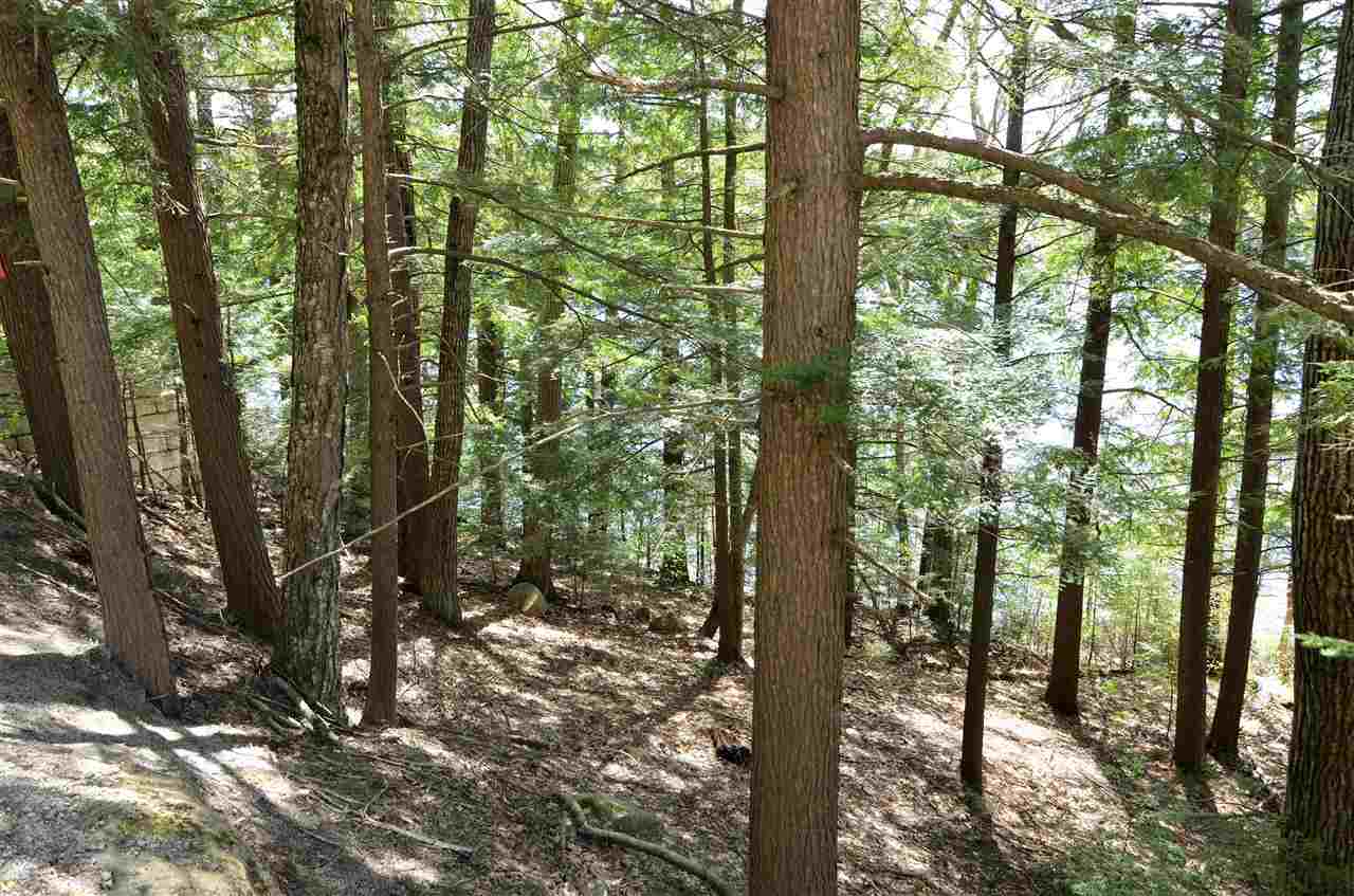 118 Camp Kemah Road South Sutton, NH 03273 - Photo 13 of 15 Gallery Image 13