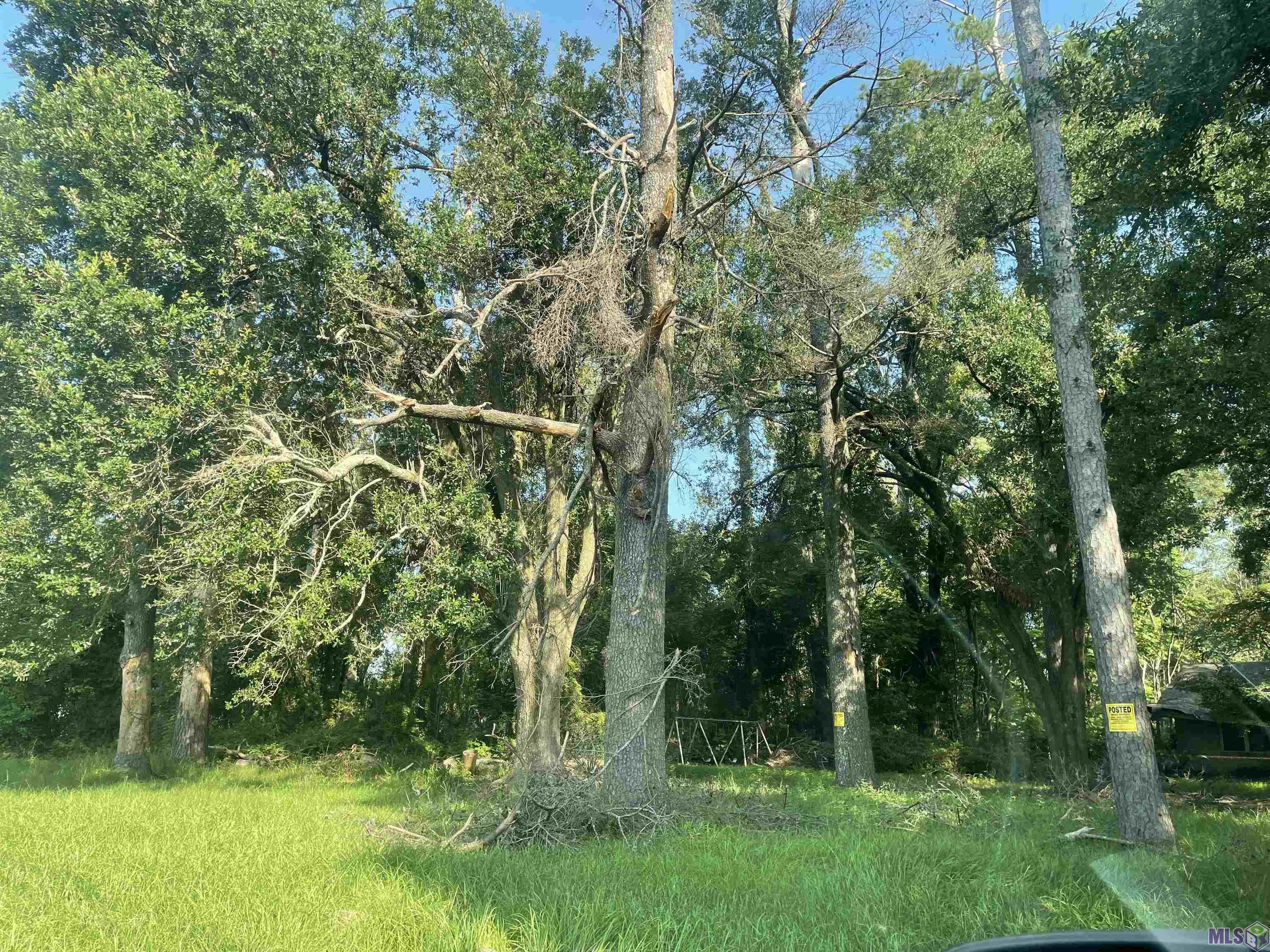 14101 Florida Boulevard Baton Rouge, LA 70819 - Photo 2 of 4