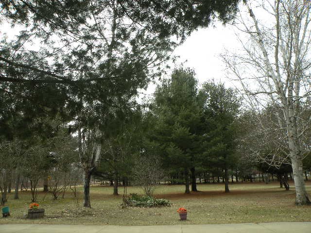3866 Miller Road Owosso, MI 48867 - Photo 33 of 38 Gallery Image 33