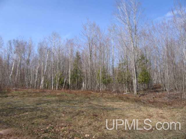 3 Red Barn Road Hancock, MI 49930 - Photo 11 of 16 Gallery Image 11