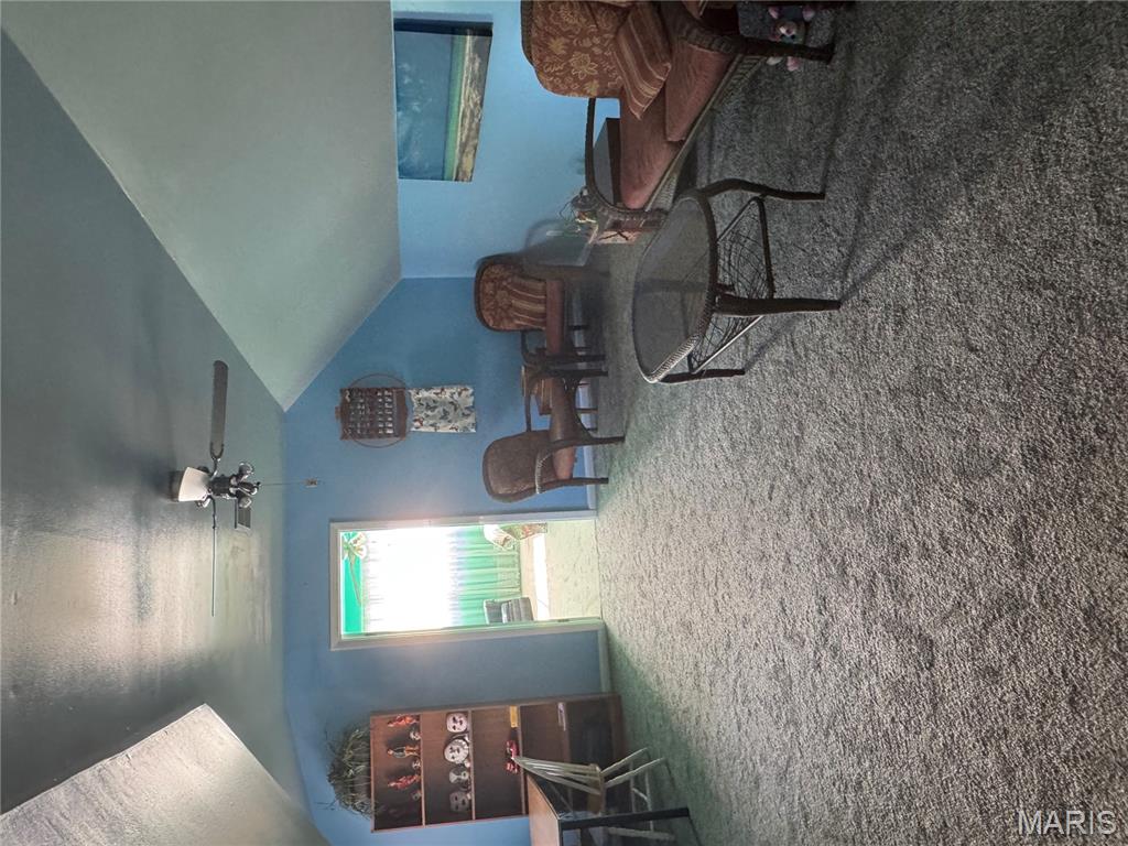 101 St Matthew Lane New Madrid, MO 63869 - Photo 19 of 21