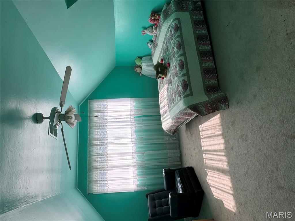 101 St Matthew Lane New Madrid, MO 63869 - Photo 20 of 21