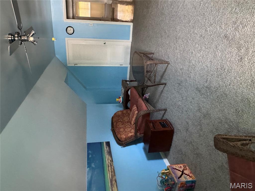 101 St Matthew Lane New Madrid, MO 63869 - Photo 21 of 21