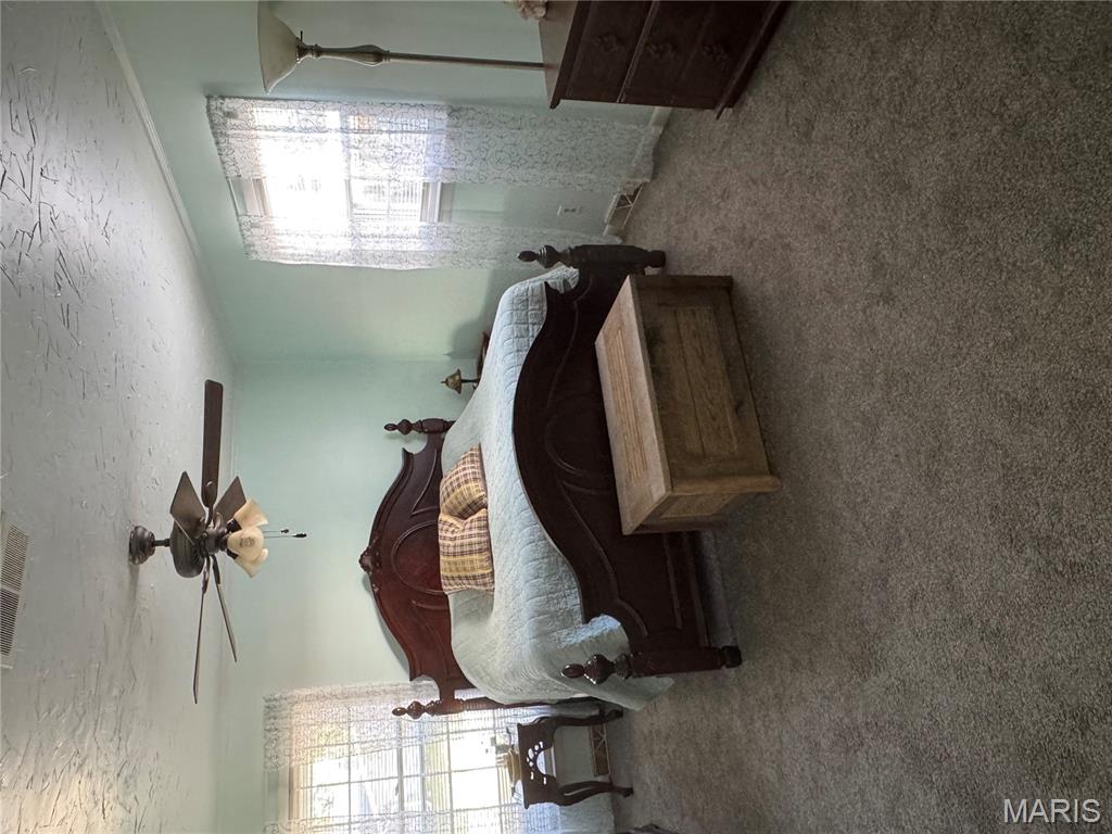 101 St Matthew Lane New Madrid, MO 63869 - Photo 4 of 21