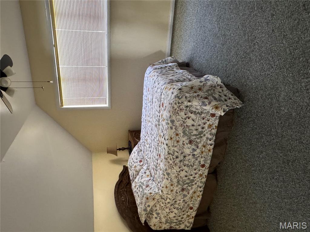 101 St Matthew Lane New Madrid, MO 63869 - Photo 5 of 21