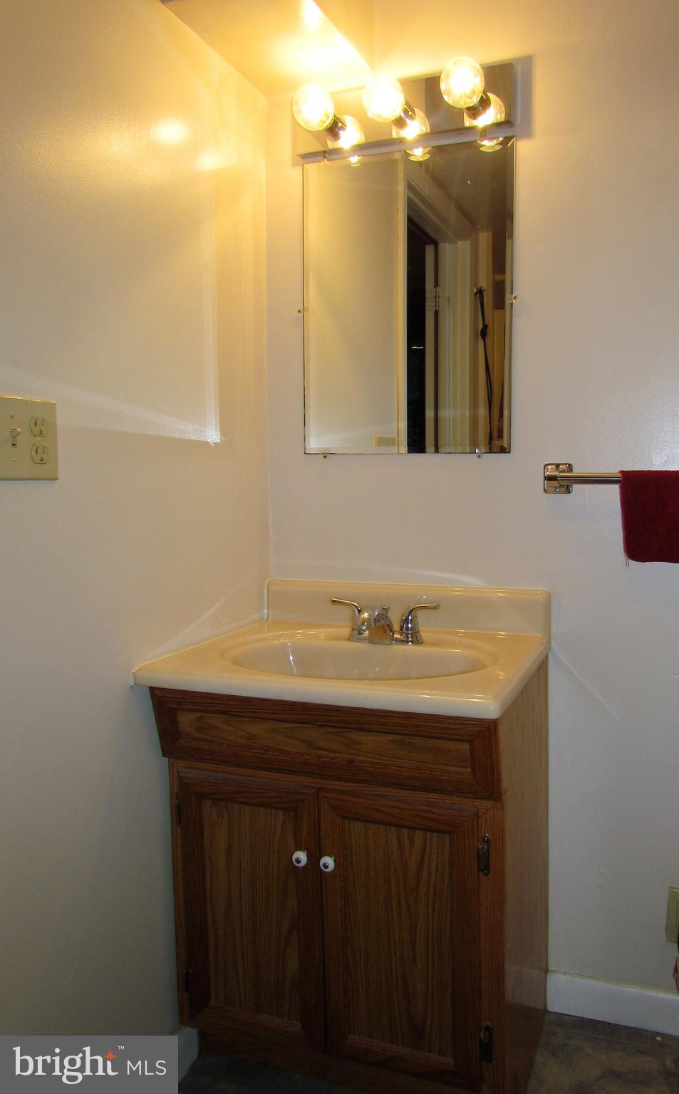 6442 Mt Phillip Road Frederick, MD 21703 - Photo 21 of 37 a bathroom with a sink a vanity and a mirror