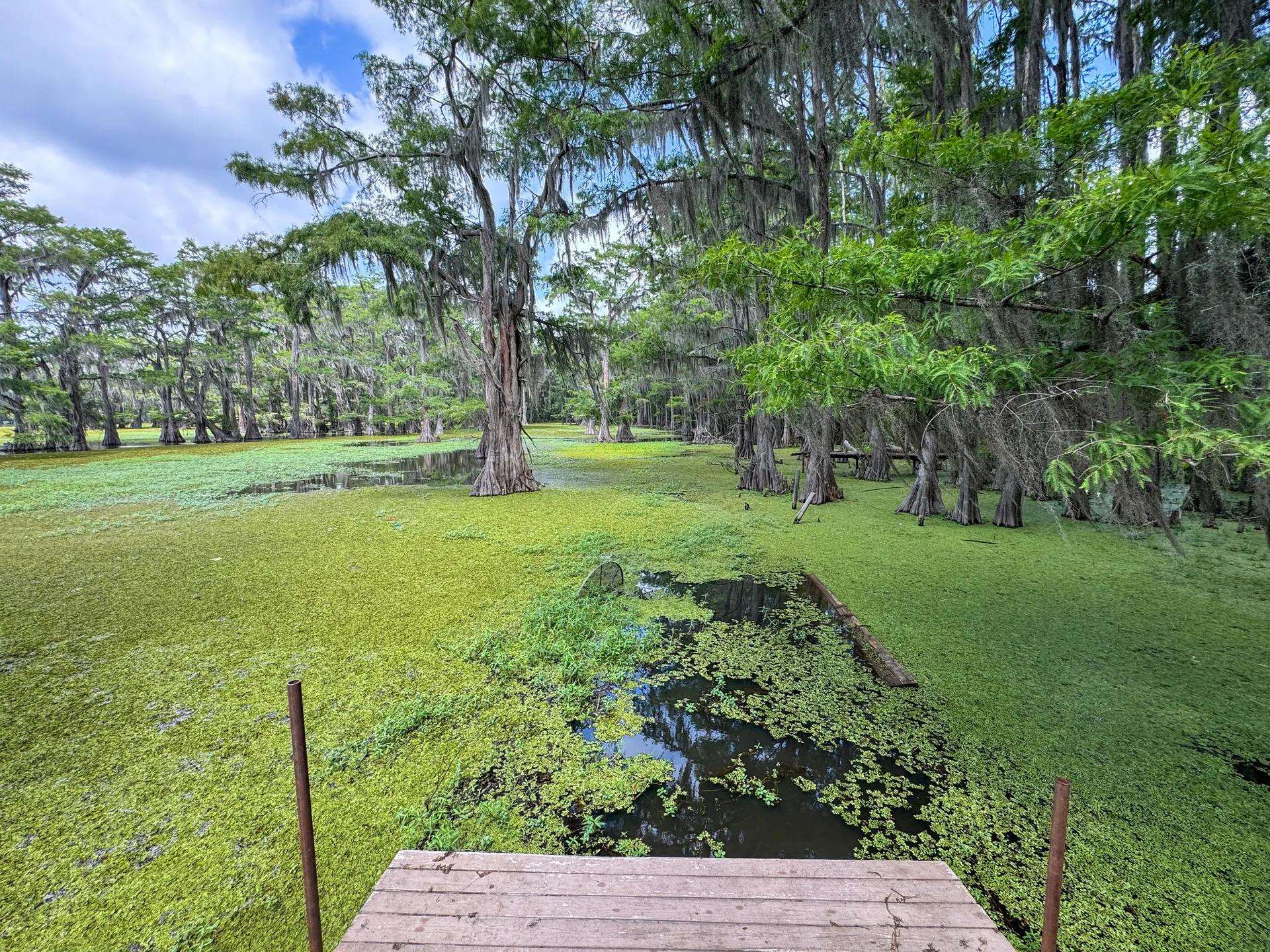 535 Jackson Arms Road Karnack, TX 75661 - Photo 34 of 42 Gallery Image 34
