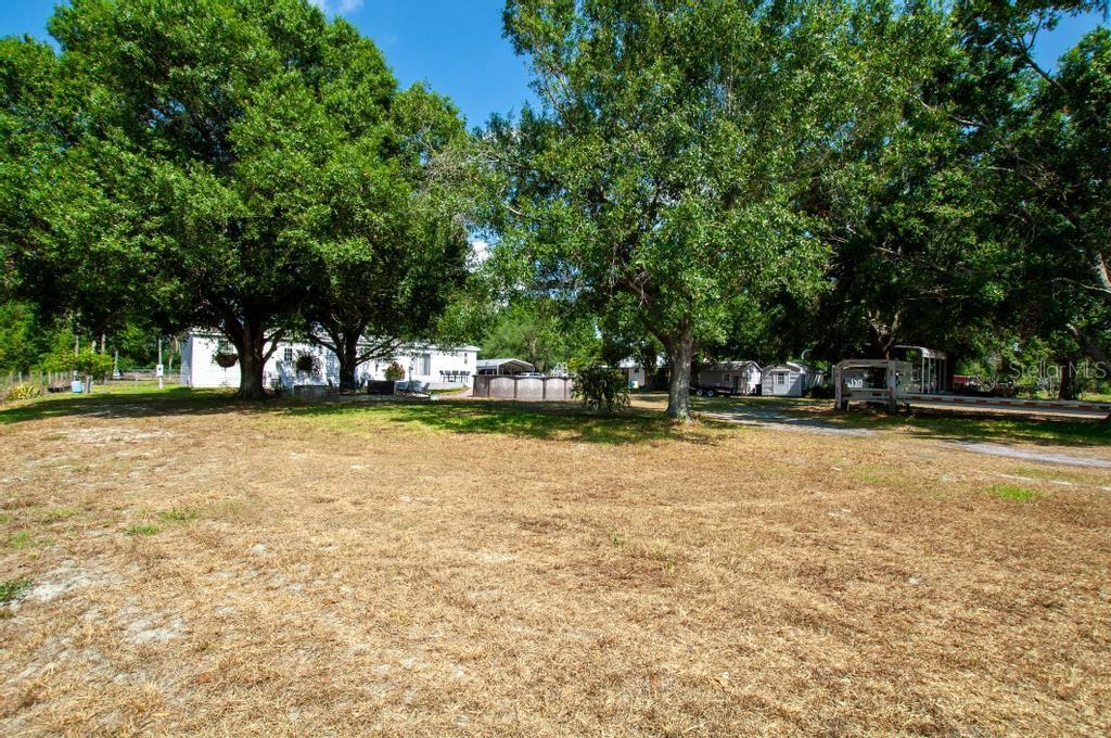 1264 Northeast Forrest Avenue Arcadia, FL 34266 - Photo 20 of 25 a view of yard with swimming pool and trees