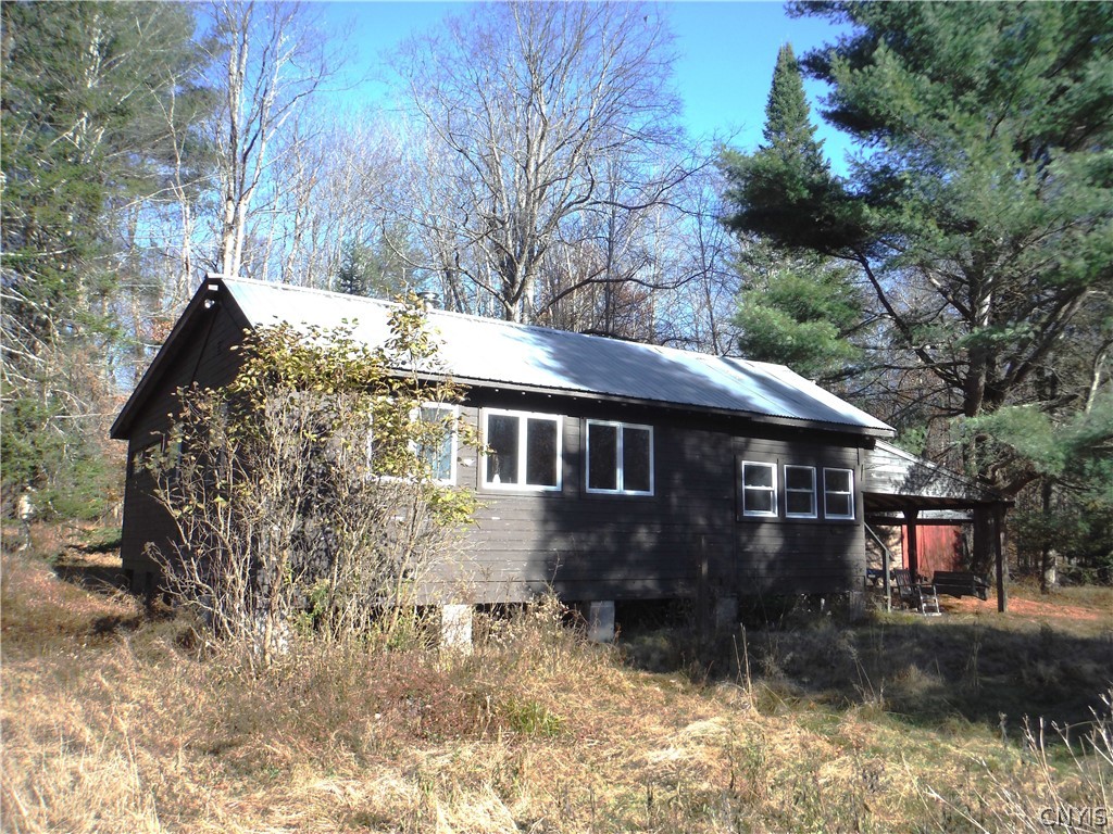 X Buck Lake Road Port Leyden, NY 13433 - Photo 42 of 50 cabin view