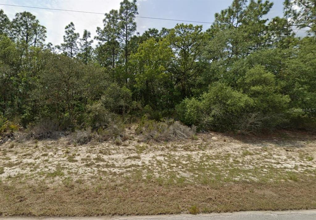 Southwest 68th Terrace Ocala, FL 34473 - Photo 4 of 7