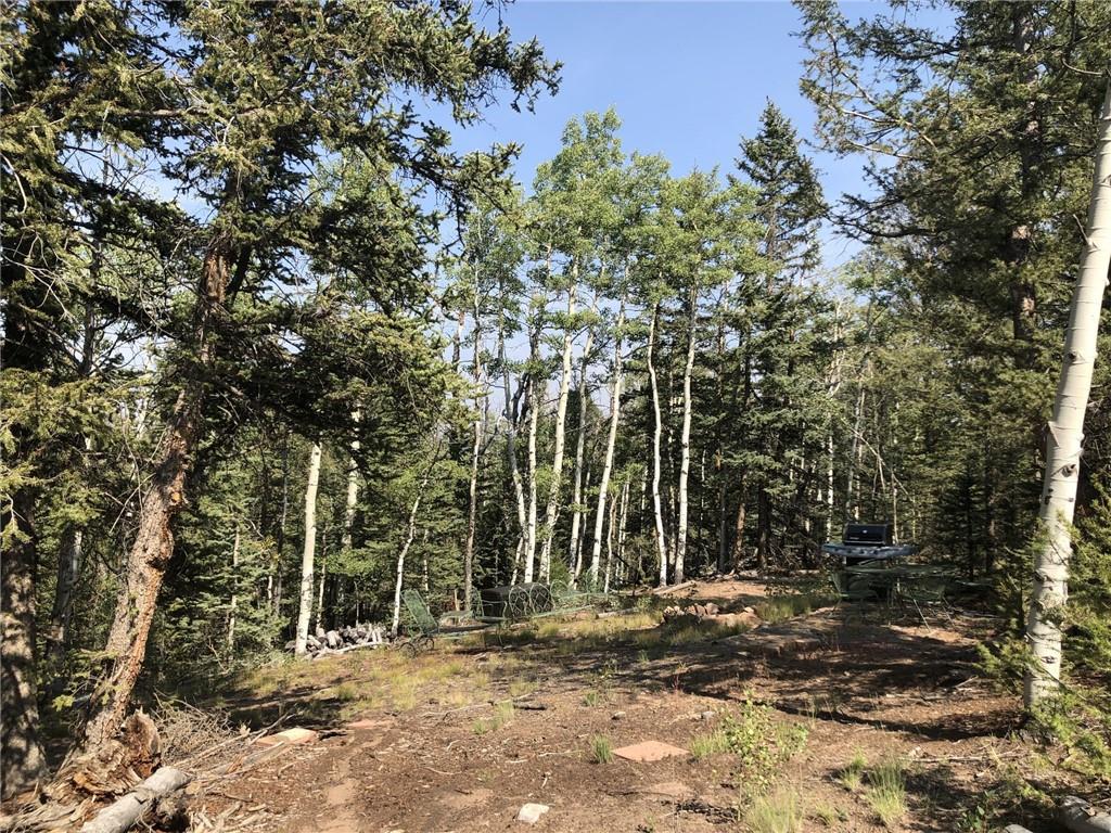 157 Old Squaw Road Como, CO 80432 - Photo 1 of 16 Gallery Image 1