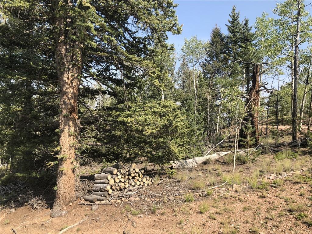 157 Old Squaw Road Como, CO 80432 - Photo 14 of 16 Gallery Image 14