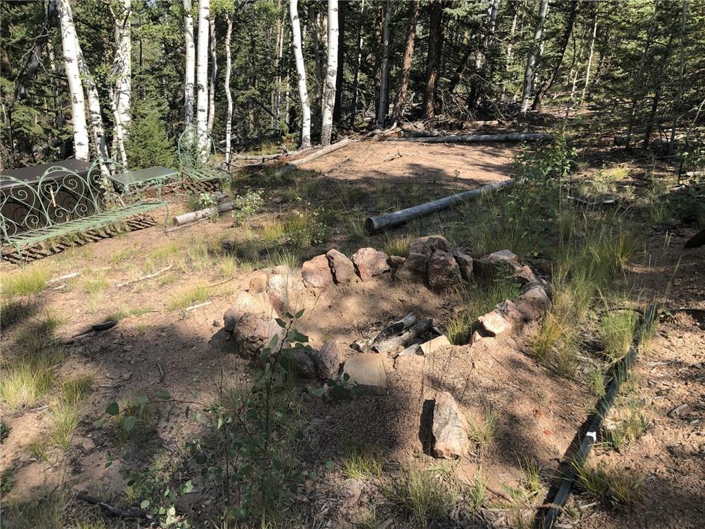157 Old Squaw Road Como, CO 80432 - Photo 3 of 16 Gallery Image 3