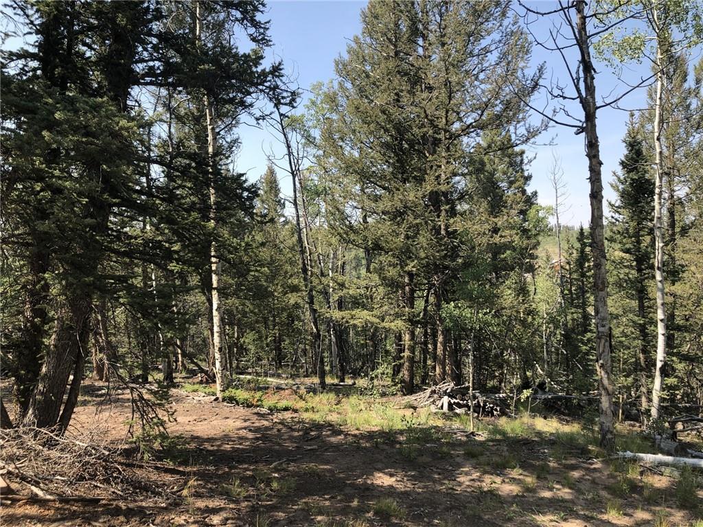 157 Old Squaw Road Como, CO 80432 - Photo 5 of 16 Gallery Image 5