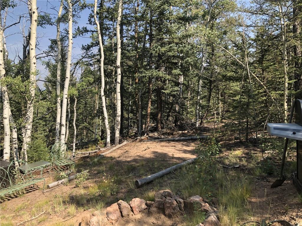 157 Old Squaw Road Como, CO 80432 - Photo 6 of 16 Gallery Image 6