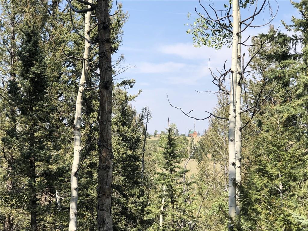 157 Old Squaw Road Como, CO 80432 - Photo 8 of 16 Gallery Image 8