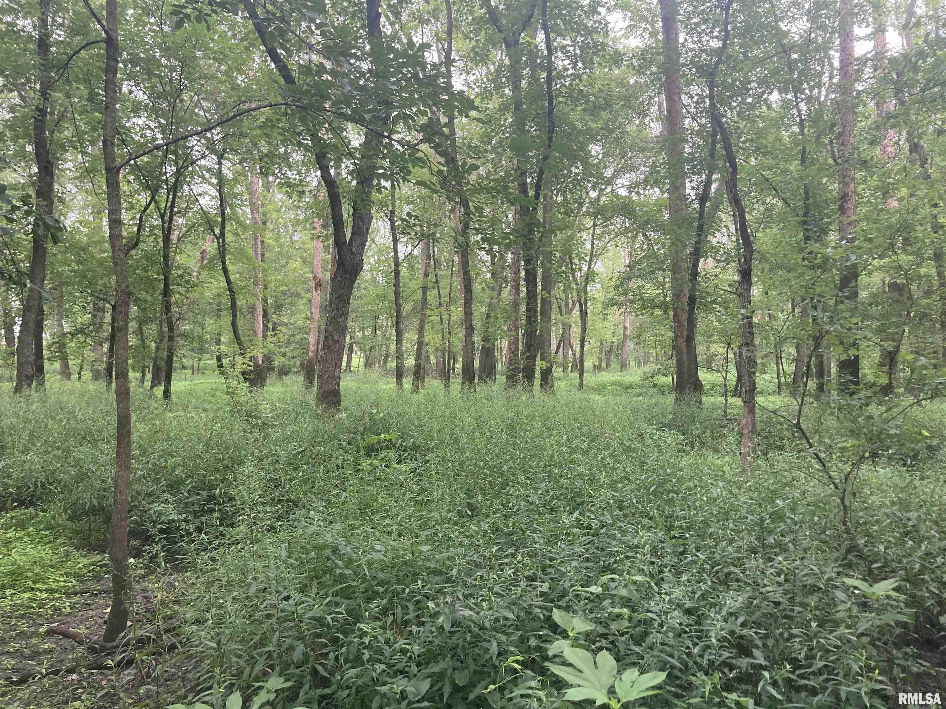 0 Hermes Road Germantown, IL 62245 - Photo 1 of 11