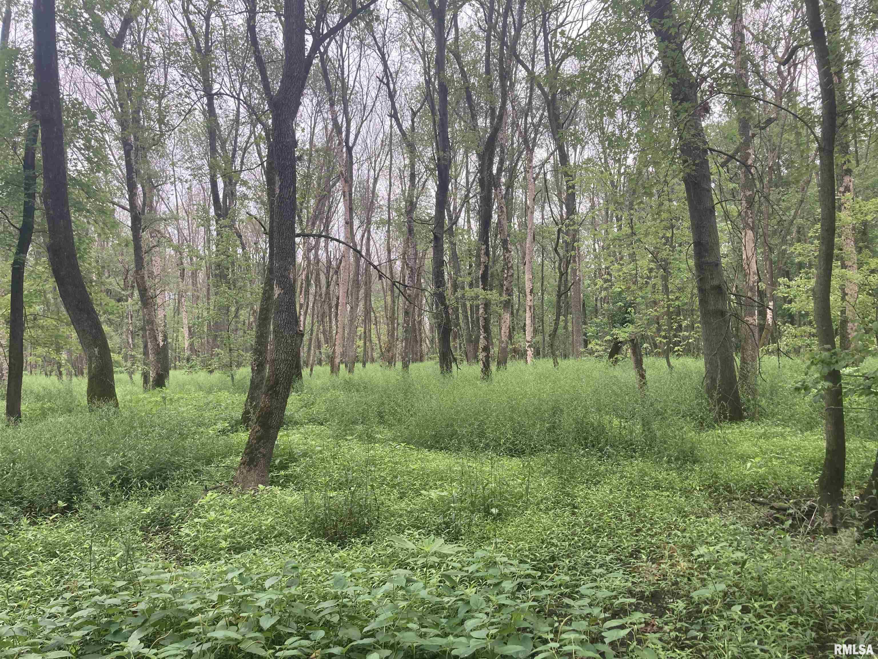 0 Hermes Road Germantown, IL 62245 - Photo 2 of 11