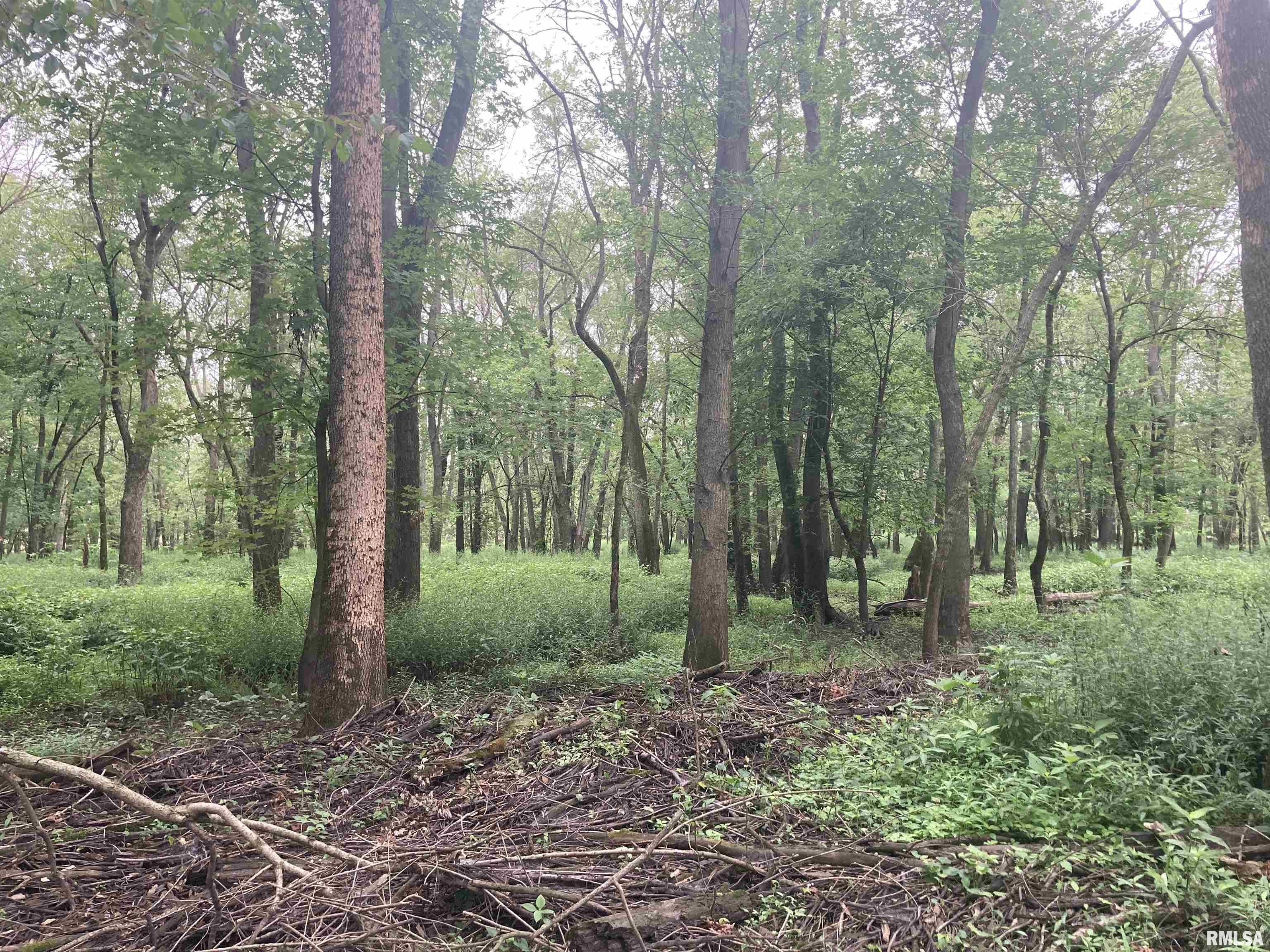 0 Hermes Road Germantown, IL 62245 - Photo 3 of 11