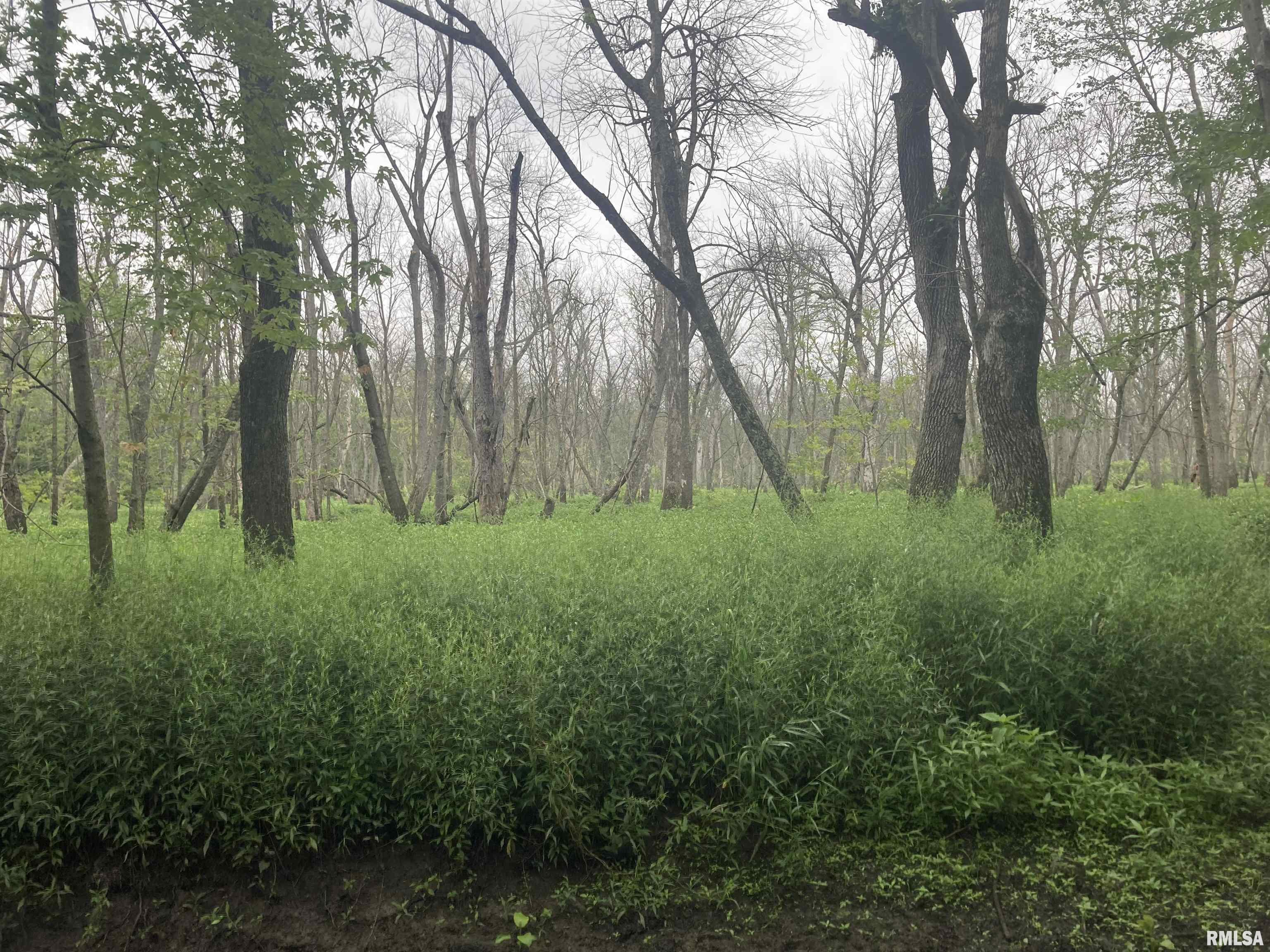 0 Hermes Road Germantown, IL 62245 - Photo 5 of 11