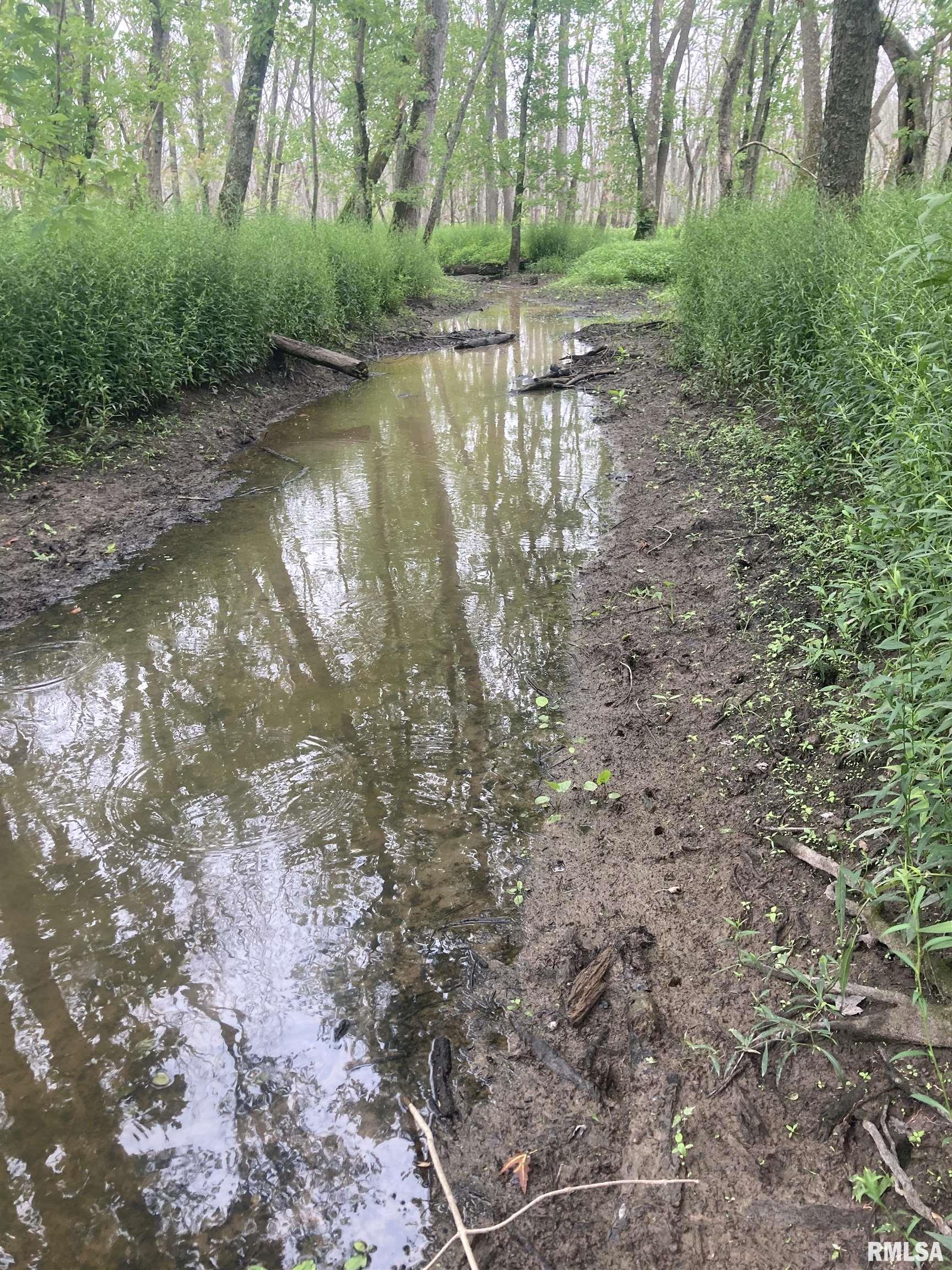 0 Hermes Road Germantown, IL 62245 - Photo 6 of 11