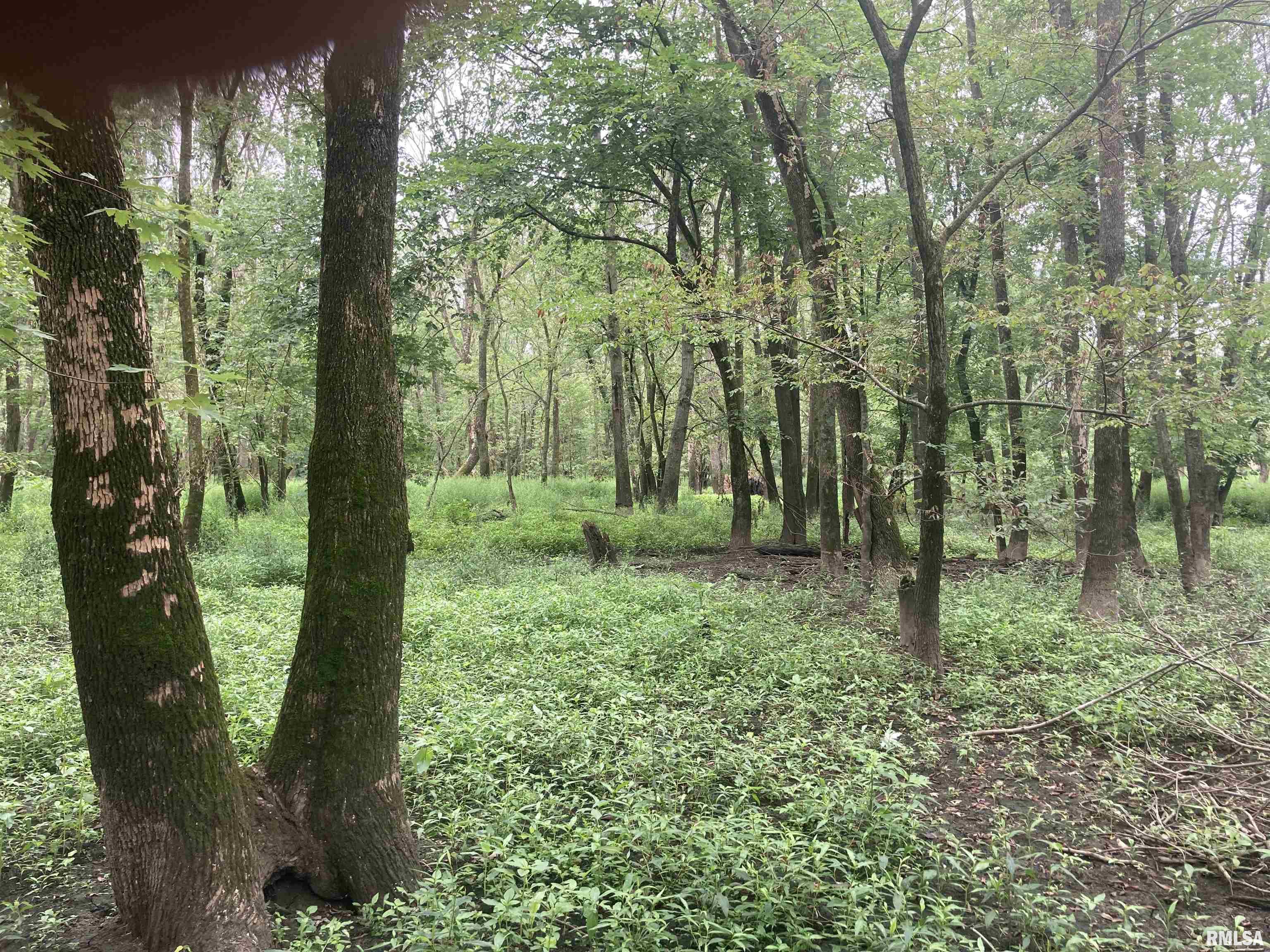 0 Hermes Road Germantown, IL 62245 - Photo 7 of 11