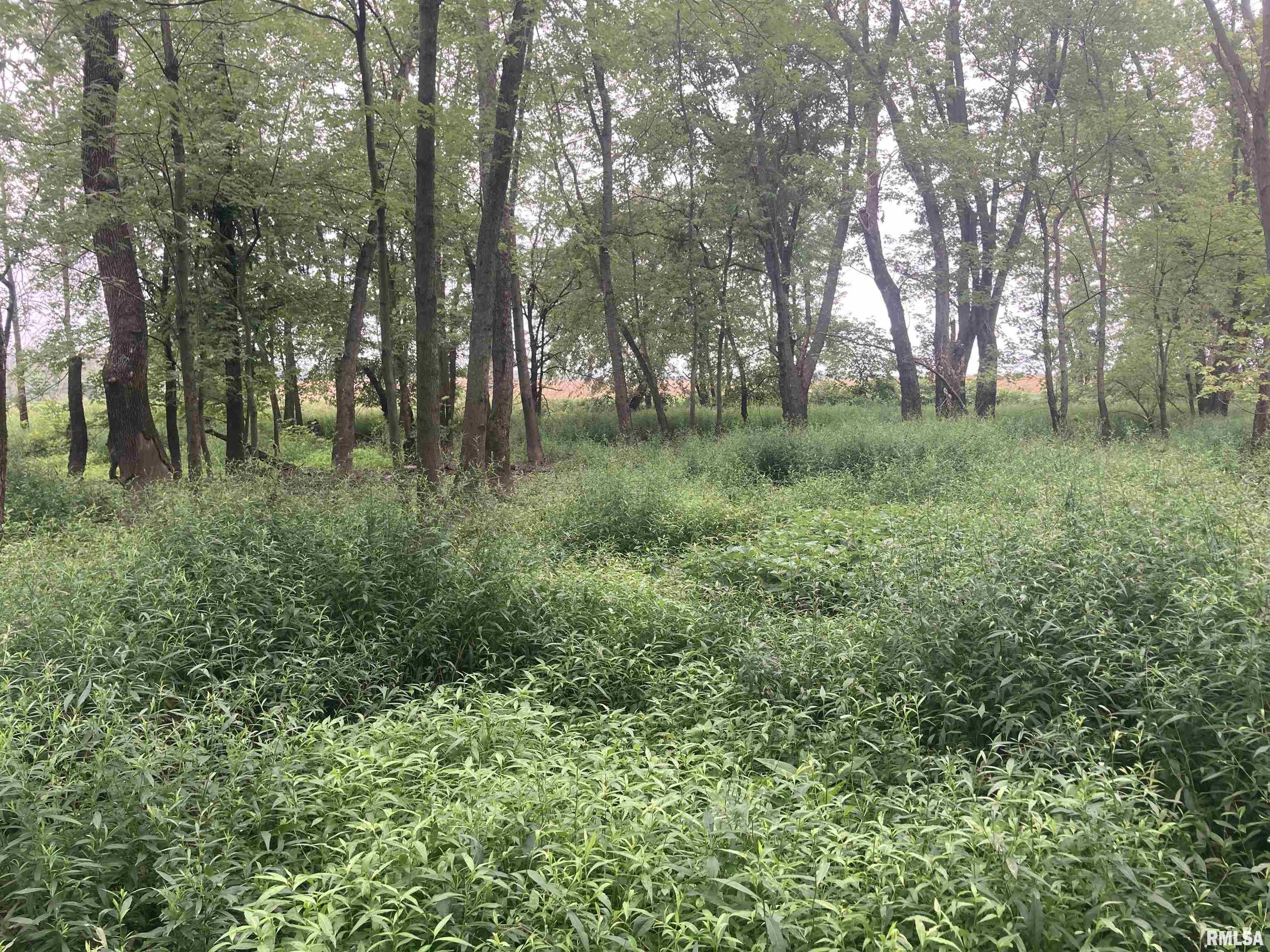 0 Hermes Road Germantown, IL 62245 - Photo 9 of 11