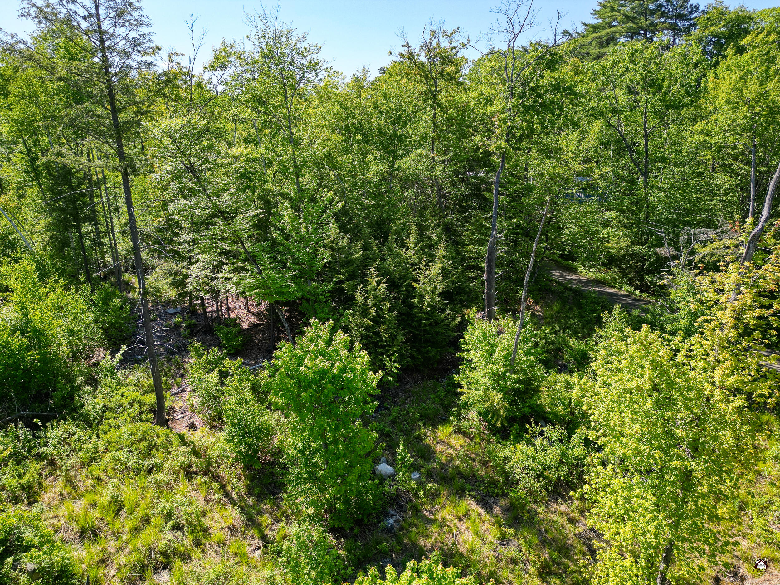 25-l 56c Red Oaks Lodge Road Belgrade, ME 04917 - Photo 11 of 19 131-MS6LAND-DP-117