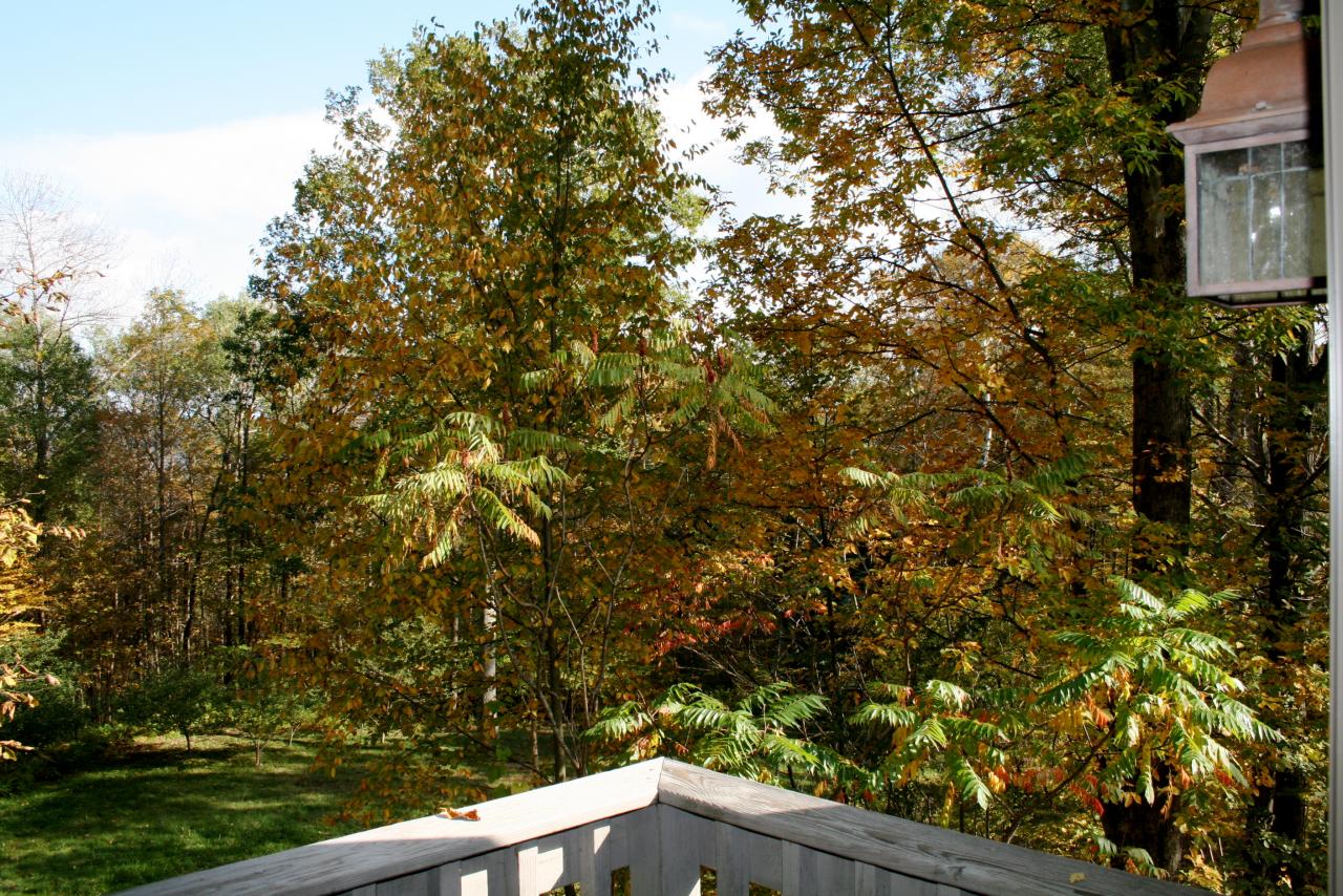 22 Smith Road West Stockbridge, MA 01266 - Photo 13 of 21 Balcony off bedroom#2