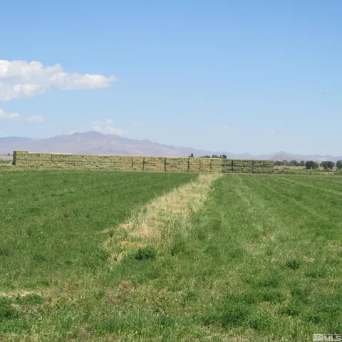 a view of a field with an ocean and trees