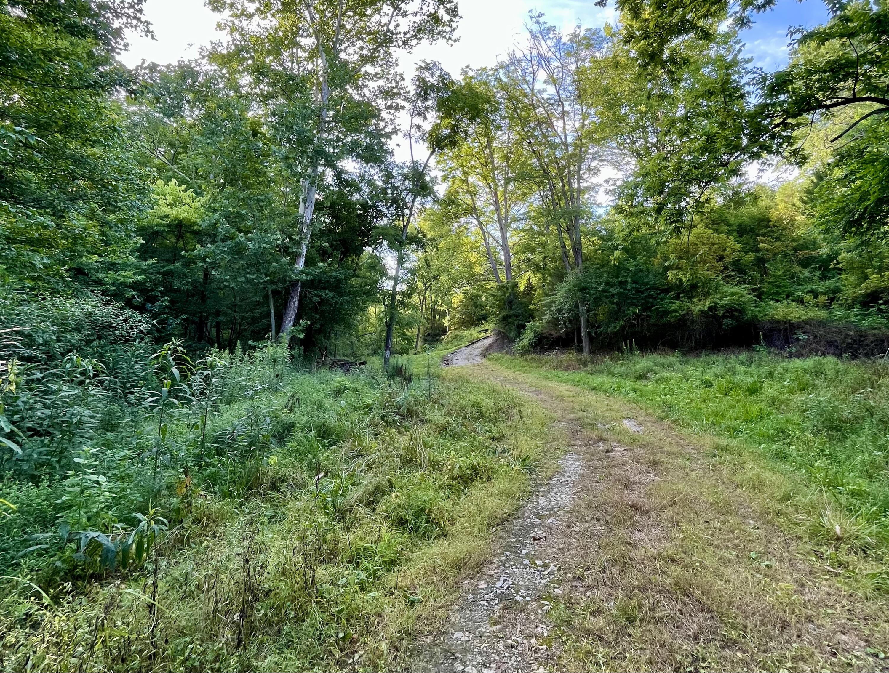 4043 Howards Mill Road Mount Sterling, KY 40353 - Photo 12 of 24 12