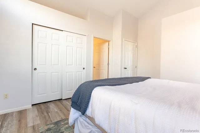 a bedroom with a bed and a closet